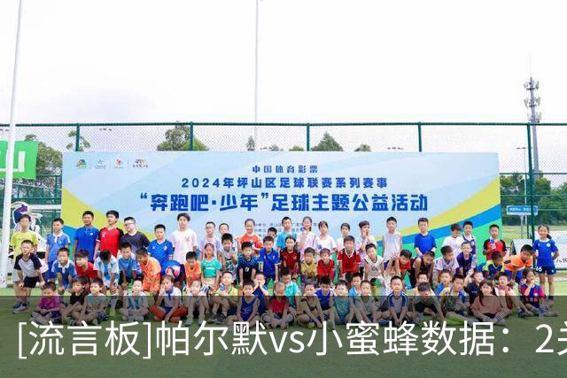 [流言板]帕尔默vs小蜜蜂数据：2关键传球+5过人3成功，16次对抗8胜
